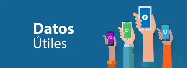 Datos útiles de Algarrobo: farmacia, transporte, trámites y urgencias